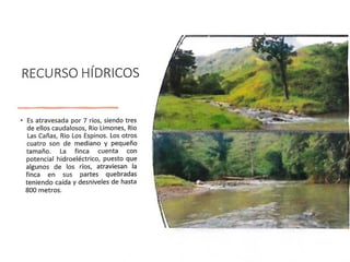 IZABAL/ Finca con minerales, árboles y Agua en Venta - 5