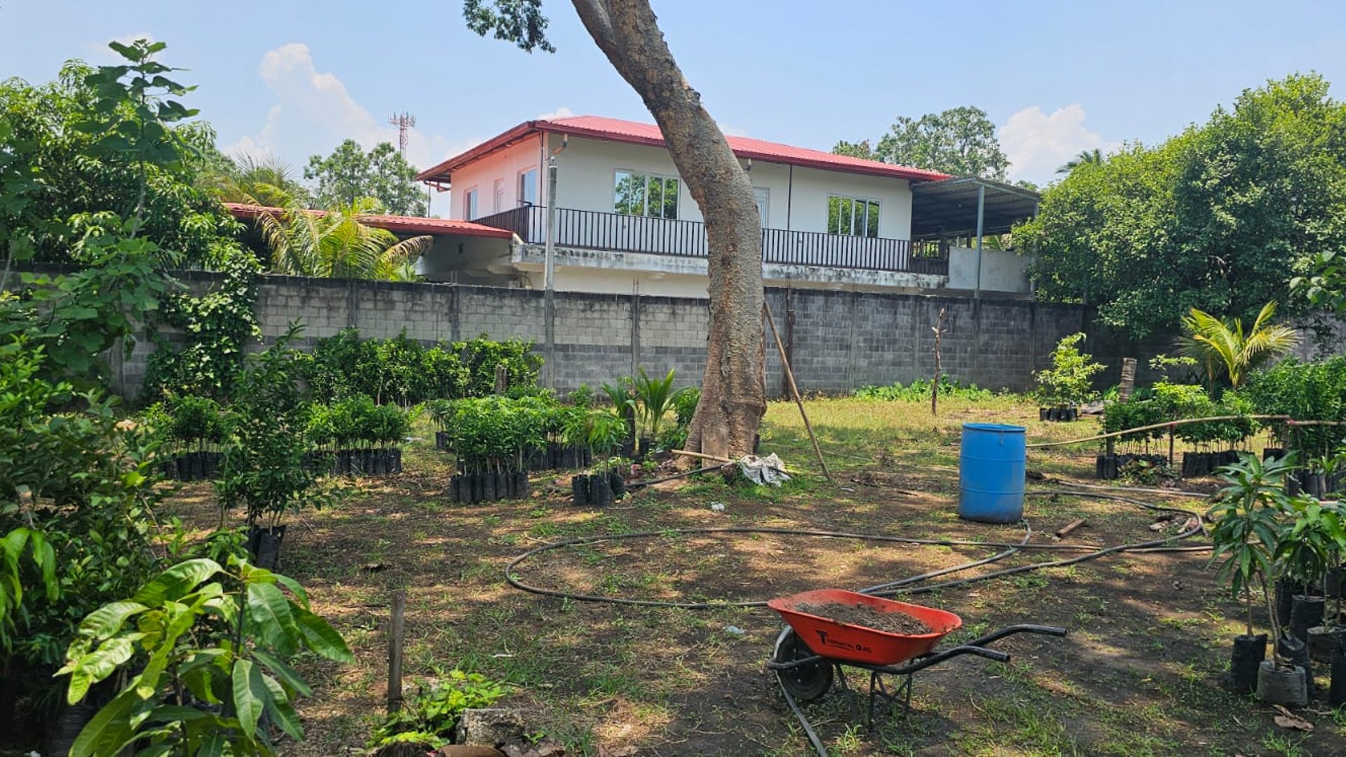 ???? TERRENO EN VENTA – 1,500 M² | QUINTAS VALLARTA | ESCUINTLA - Miniatura 3