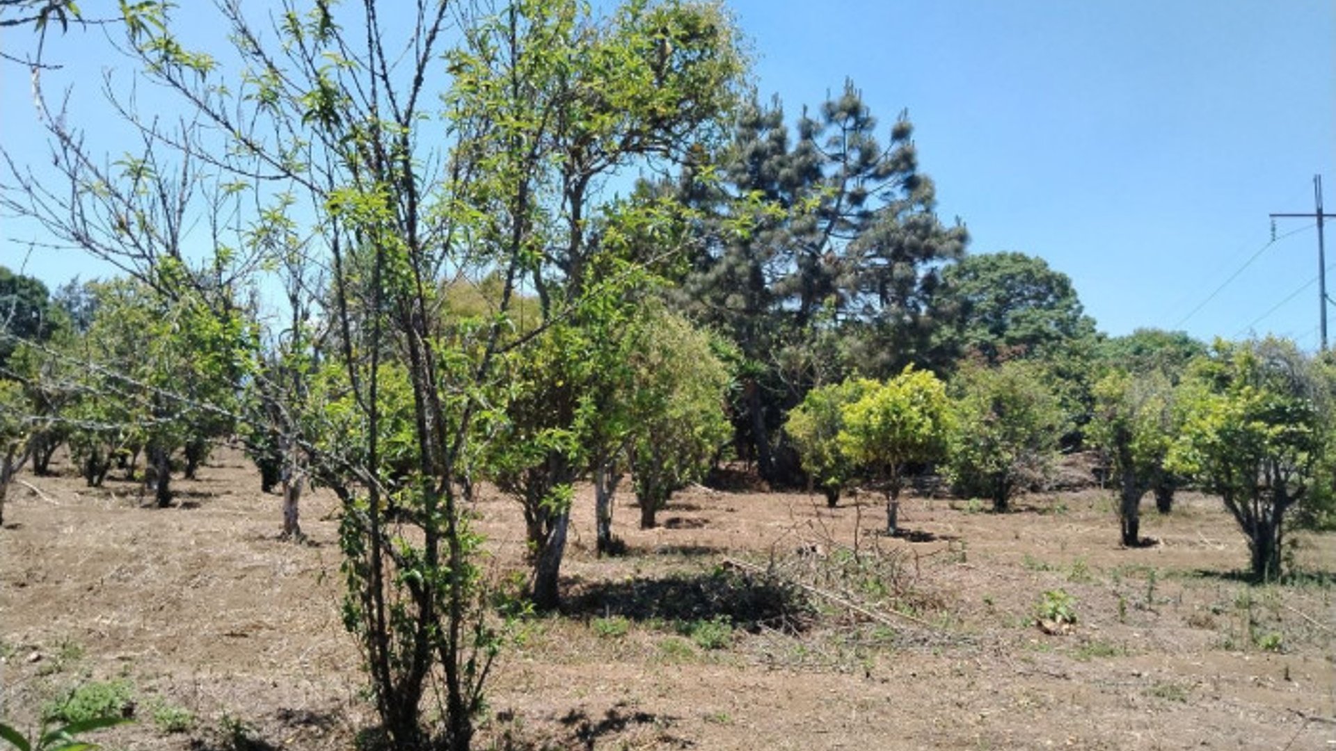TERRENO EN VENTA EN CHIMALTENANGO - Miniatura 6