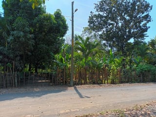 Granja en renta en Km. 102 Puerto de San José - Image 17