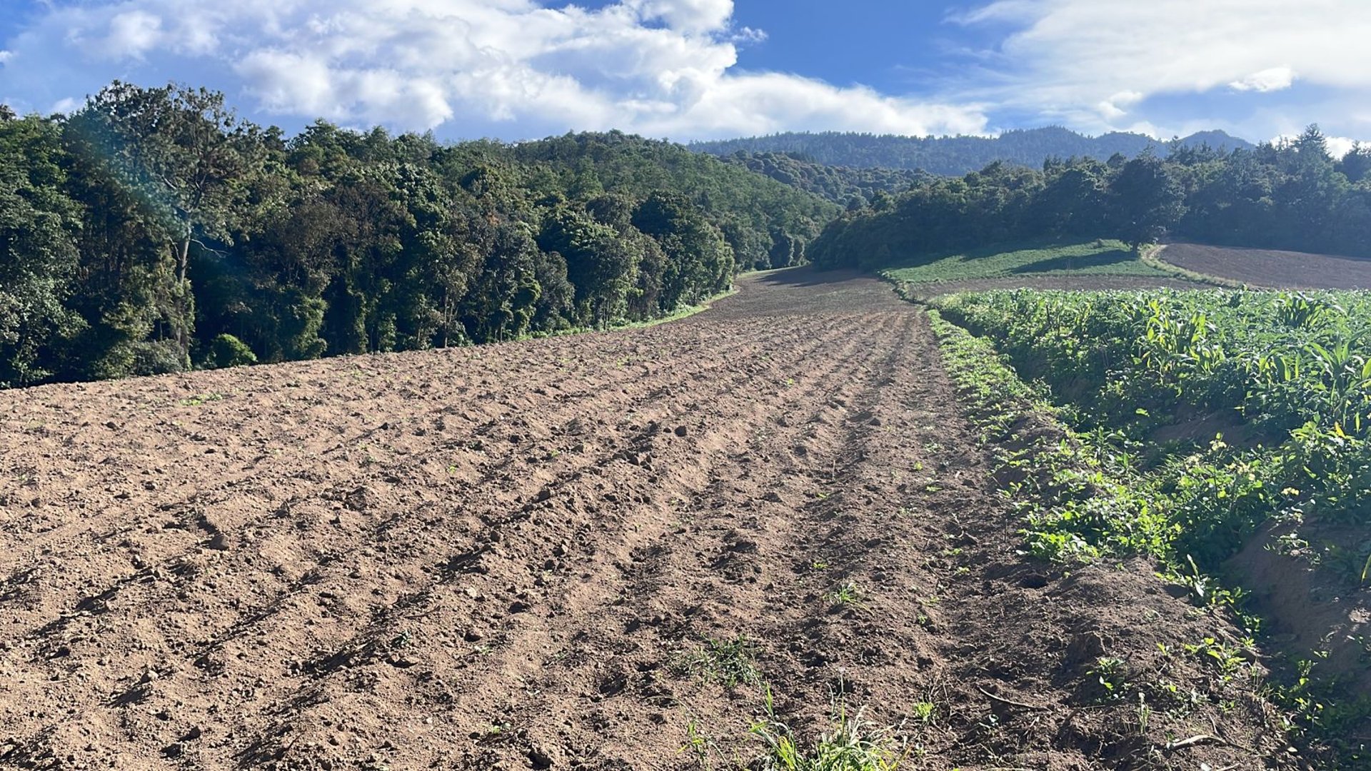 Terreno en venta, en Quetzaltenango - Miniatura 5