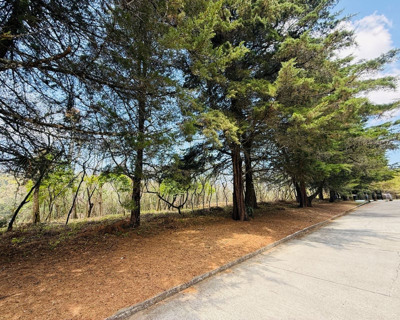 VENTA DE AMPLIOS TERRENOS - CASA & CAMPO, KM 23.5 CES