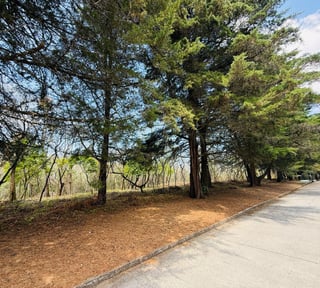 VENTA DE AMPLIOS TERRENOS - CASA & CAMPO, KM 23.5 CES