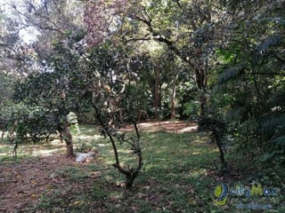 Terreno en Venta Zona 15 Guatemala, uso residencial - 3