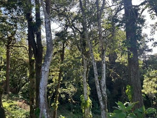 Terreno a la venta Santa Rosalía, km 12.5 CAES - 2