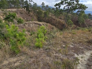Terreno en Venta San Pedro Sacatepéquez, Guatemala - Image 8