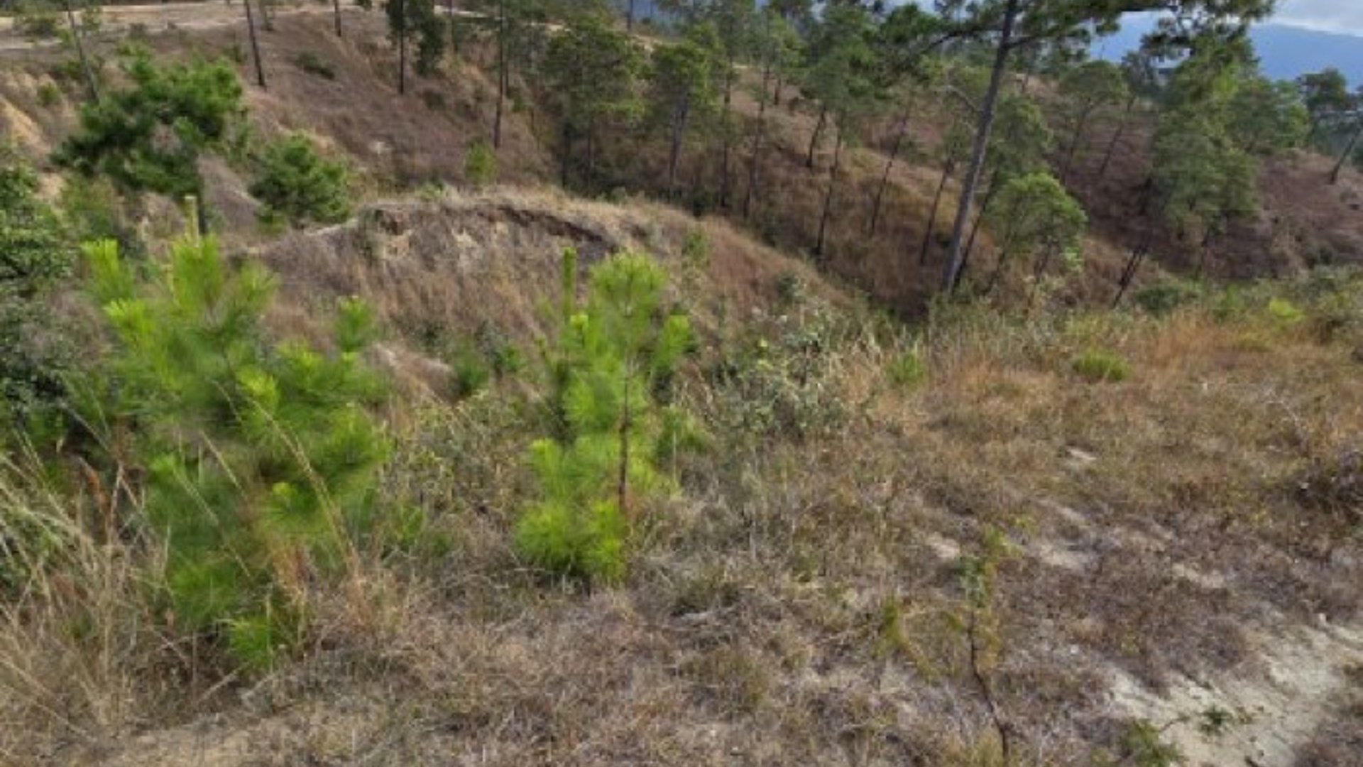 Terreno en Venta San Pedro Sacatepéquez, Guatemala - Miniatura 8