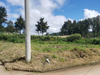 Beautiful land surrounded by nature and excellent climate. - Image 2