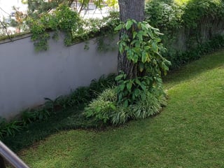 Acogedora y amplia casa en ALQUILER, Km 13.5 Carretera a El Salvador (+1) ilj - Image 13