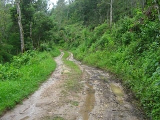 VENTA EXCELENTE FINCA CARRETERA A SANTA ROSA - 5