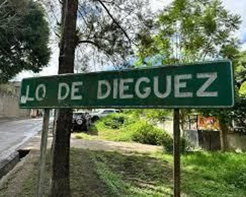 TERRENO EN VENTA – LO DE DIEGUEZ, CARR. A EL SALVADOR