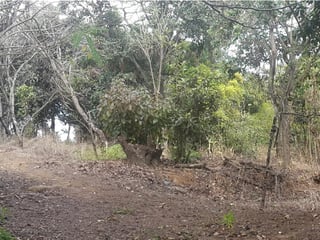 Terreno en venta, Amatitlán  - 2