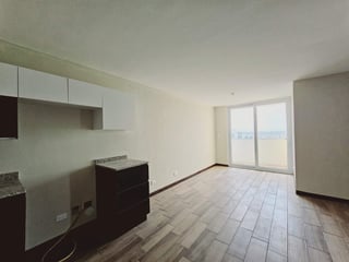 Apartamento en Venta y Renta en San Nicolas del Bosque - 4