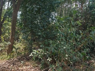 Terreno en venta en antigua guatemala  - 2