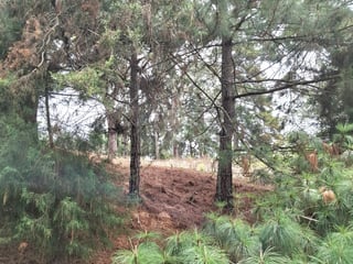 Terreno en VENTA en Zona 16, El Pulté Villa Ecuestre - 2