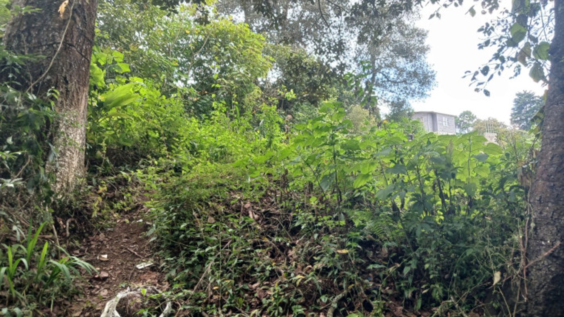 TERRENO EN VENTA EN SAN LUCAS SACATEPEQUEZ - Miniatura 9
