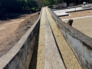 Finca en VENTA en  Barberena, Santa Rosa - 5