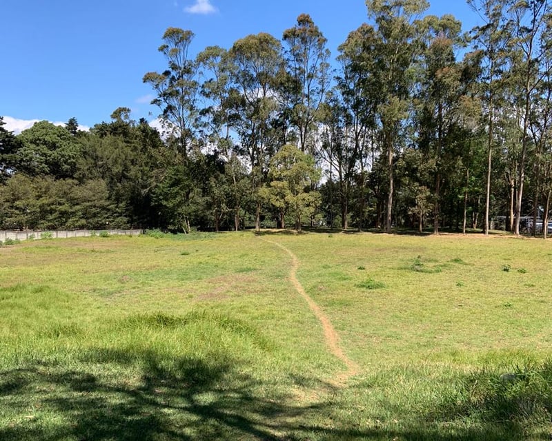 Terreno en venta, en Carretera al salvador