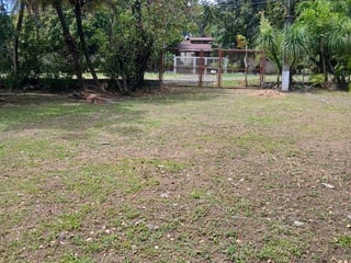 Finca en Venta – Área Río Dulce / El Estor - 5