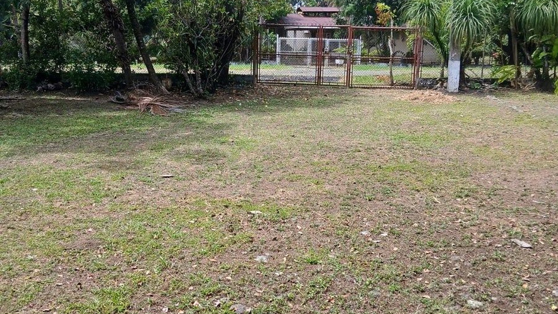 Finca en Venta – Área Río Dulce / El Estor - Miniatura 5