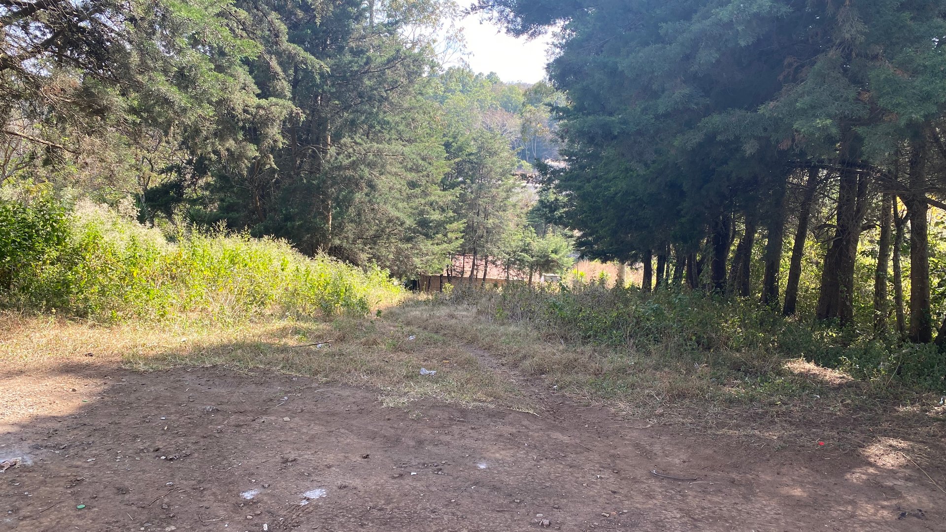 Amplio Terreno en Renta en Aldea Lo de Diéguez - Miniatura 5