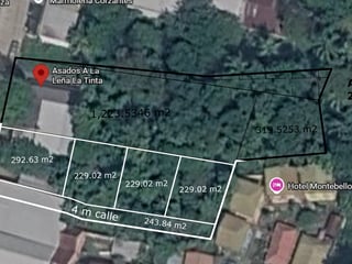 Terreno Comercial en Renta (Sobre Calle Principal) en Alta Verapáz - 4