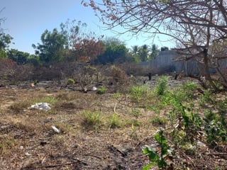 Terreno en Venta Camino a Monterrico  Taxisco, Santa Rosa - 2