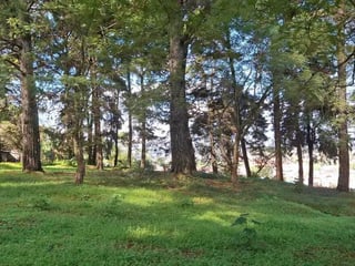 TERRENO EN VENTA – SANTA CATARINA PINULA - 5