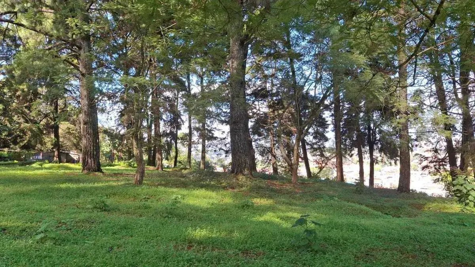 TERRENO EN VENTA – SANTA CATARINA PINULA - Miniatura 5