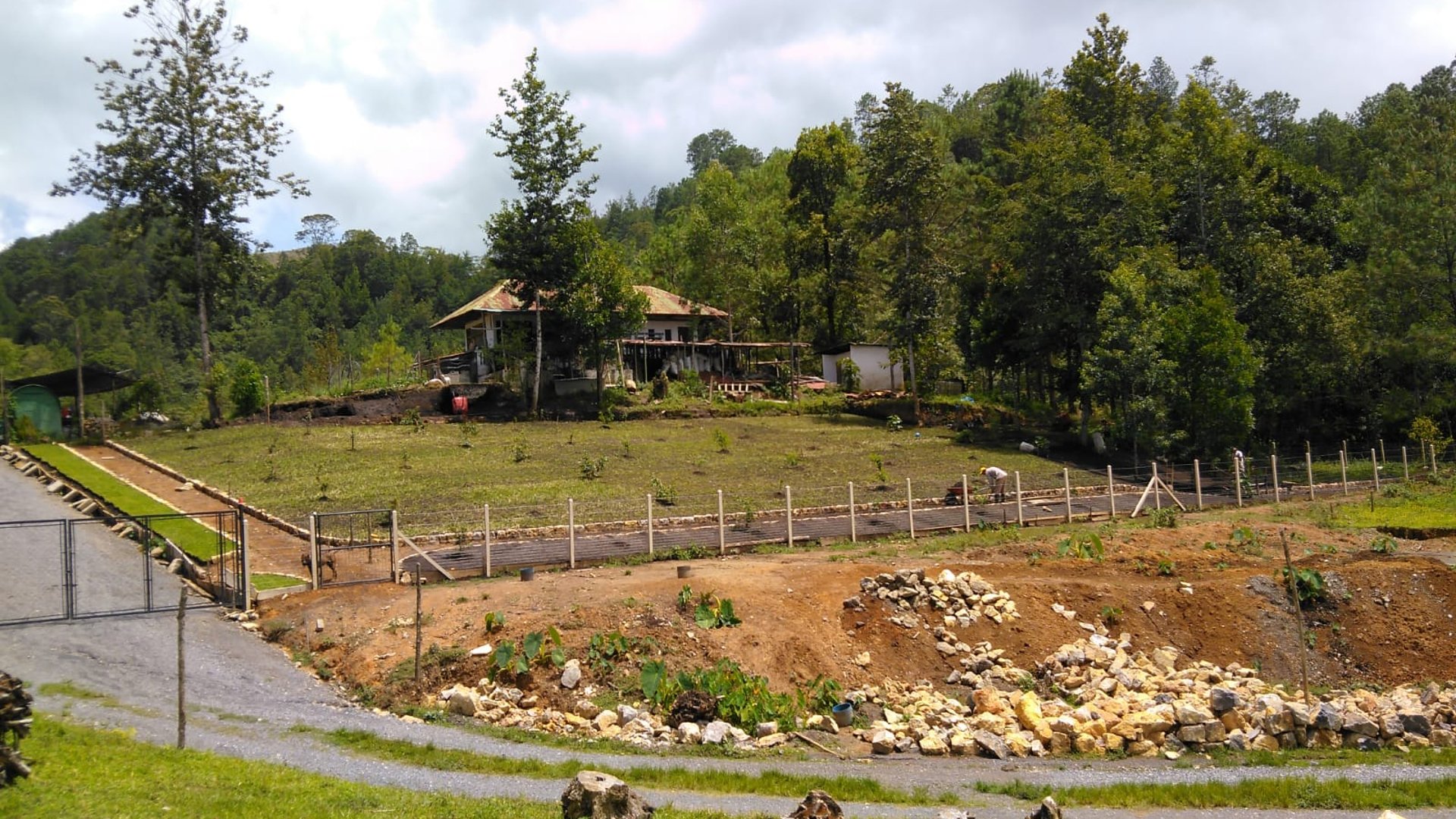 Finca comercial 26 manzanas en Venta en la Verapaces  - Miniatura 31