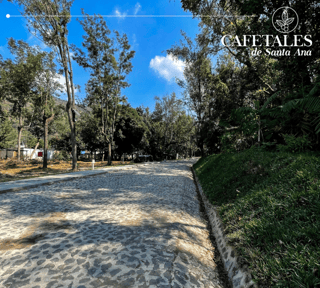 Terrenos en Cafetales de Santa Ana, a pocos metros del ingreso a la Antigua Guatemala