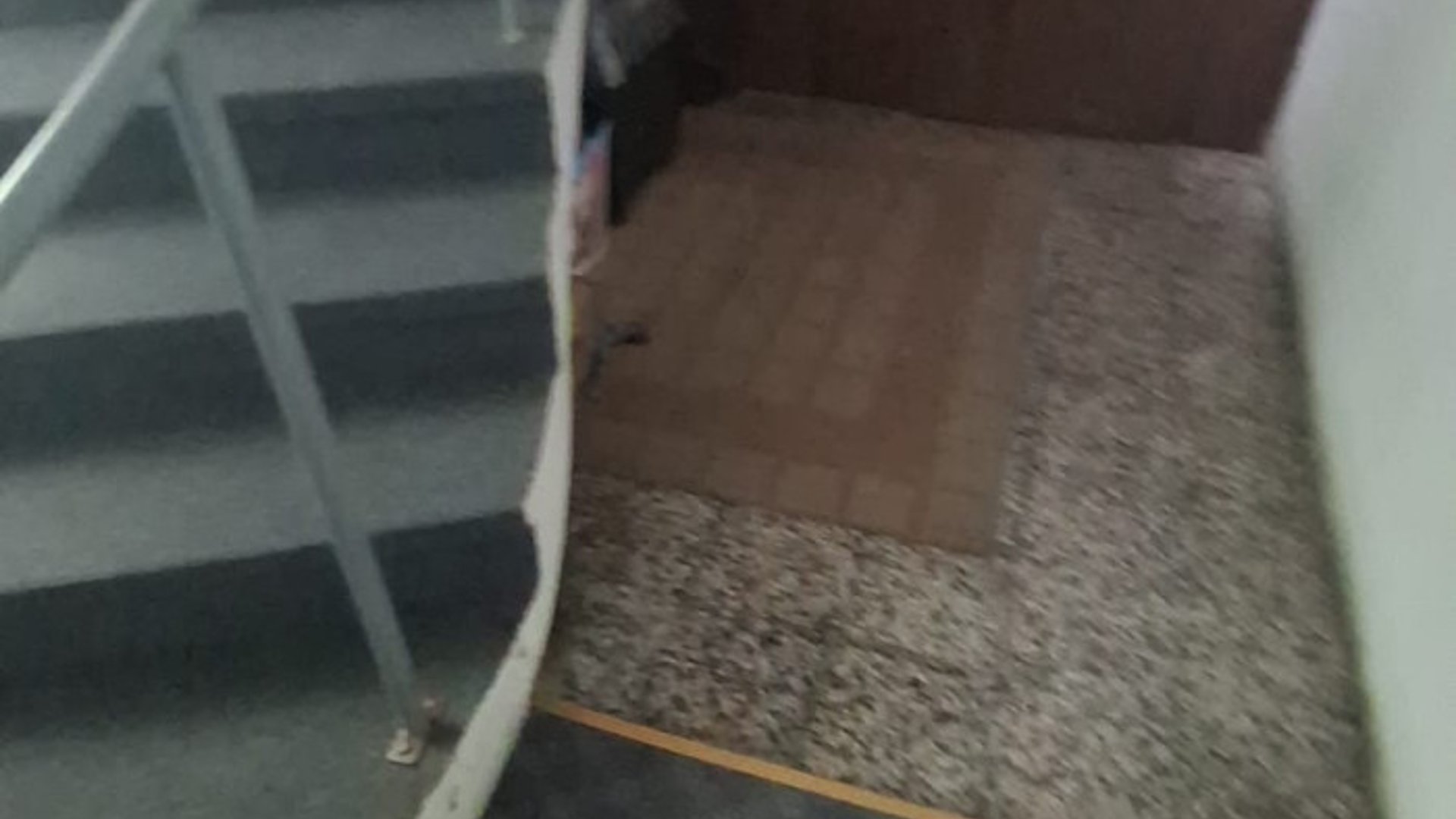Casa de venta en ciudad Nueva zona 2 - Miniatura 7