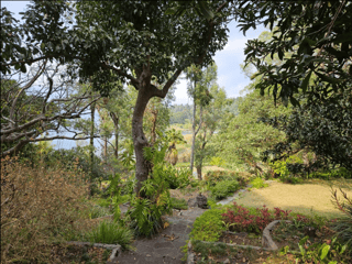 Casa Amueblada en Alquiler Cerro de Oro Atitlan - Image 15