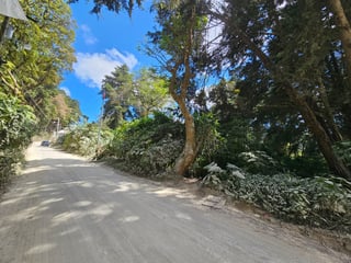 Terreno en Venta  en Santa Amelía Santiago Sacatepequez - 3