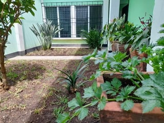 Vendo Casa en Jalapa - Image 15
