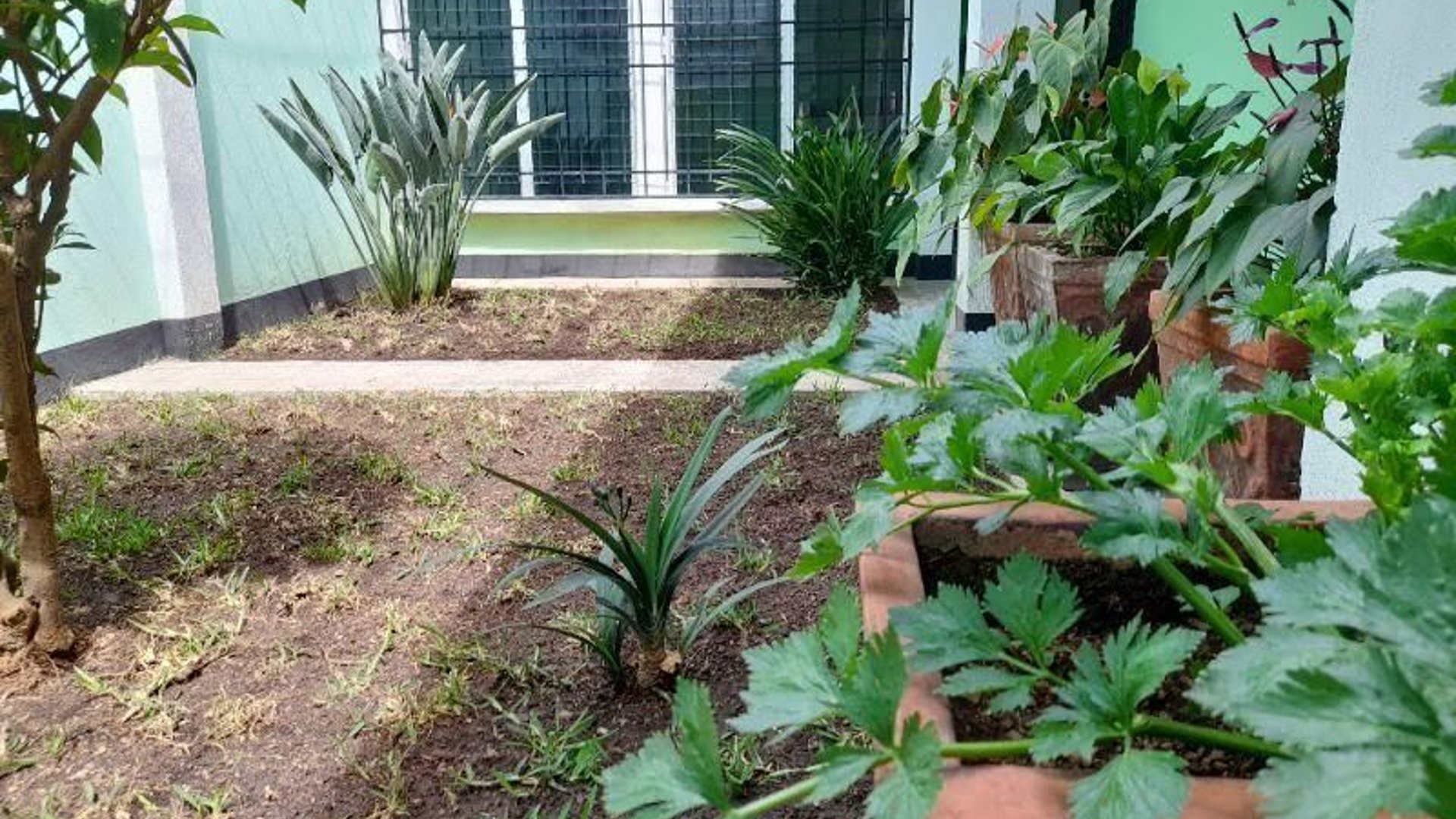 Vendo Casa en Jalapa - Miniatura 15