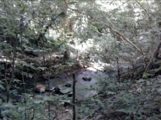 Venta de Terreno en Aldea La Unión Coatepeque - 3