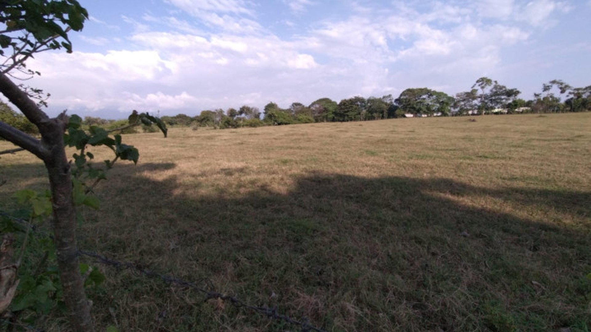 Terreno en alquiler KM 235 Aldea Las Palmas Coatepeque - Miniatura 9