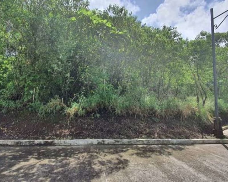 Vendo Terreno en Casa y Campo