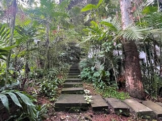 Terreno en venta Colonia trinidad zona 15 Guatemala - 5