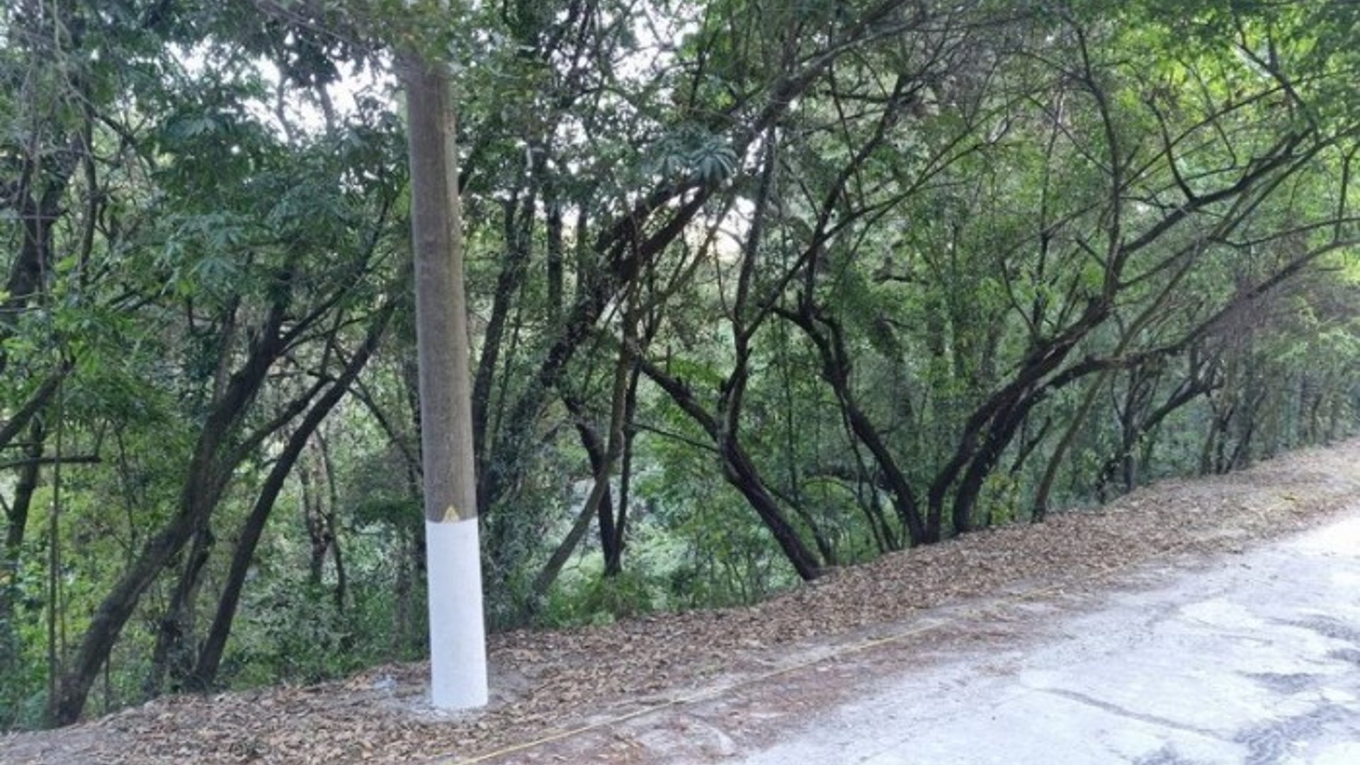 Terreno en Venta en El Encinal, Zona 7 de Mixco - Miniatura 7