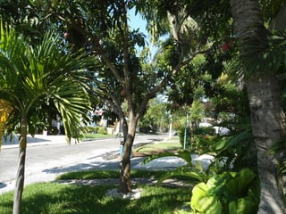 Linda Casa amueblada en Venta en San Marino!!! - Image 3