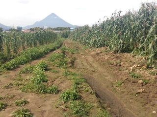 TERRENO en VENTA Ideal Inversionistas en Quetzaltenango - 4