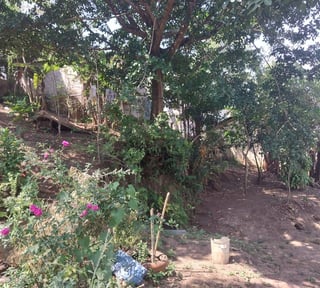 Terreno en venta, en Villa Canales