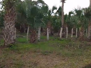 TERRENO EN VENTA – ALDEA EL CEBOLLITO, HAWÁI CHIQUIMULA - 2