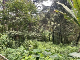 SANTA ROSALÍA / Terreno en venta - 2