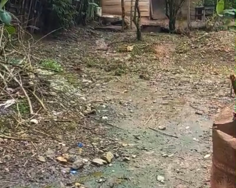 150m² Land for Sale in Puerto Barrios, Guatemala - Agriculture, Well, Electricity - $70,000