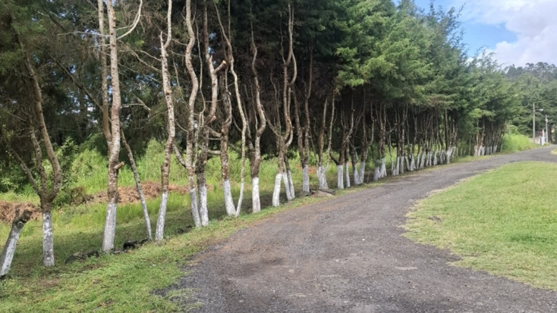 Terreno comercial renta 4586Vrs Carretera el Salvador