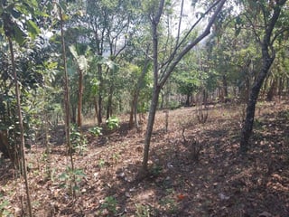 Terreno en venta, en Villa Canales - 3