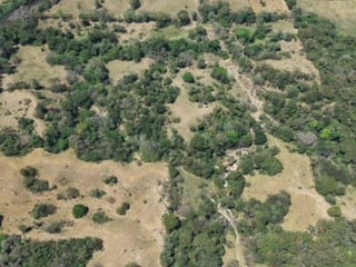 Terreno en Venta Aldea Xayá, Santa Lucía Cotzumalguapa - 4